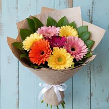Букет цветов из:  Герберы #REPLACE_PRED# Атагае