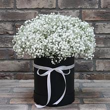 Цветочная композиция из Гипсофила в шляпной коробке в Атагае